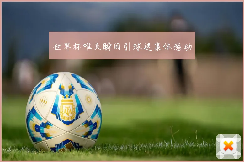 世界杯唯美瞬间引球迷集体感动