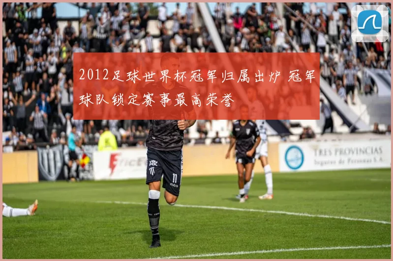 2012足球世界杯冠军归属出炉 冠军球队锁定赛事最高荣誉