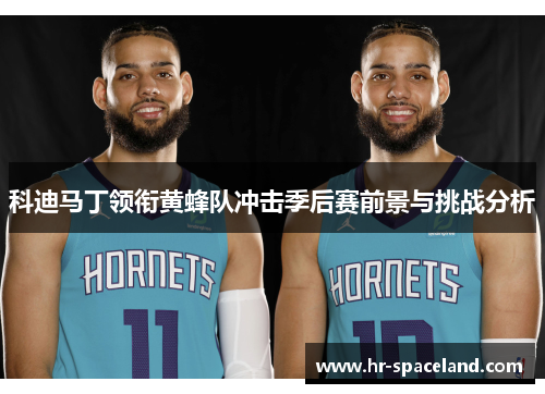 科迪马丁领衔黄蜂队冲击季后赛前景与挑战分析