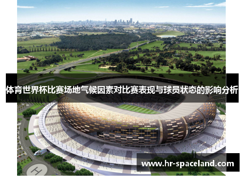 体育世界杯比赛场地气候因素对比赛表现与球员状态的影响分析