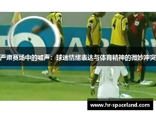 严肃赛场中的嘘声：球迷情绪表达与体育精神的微妙冲突
