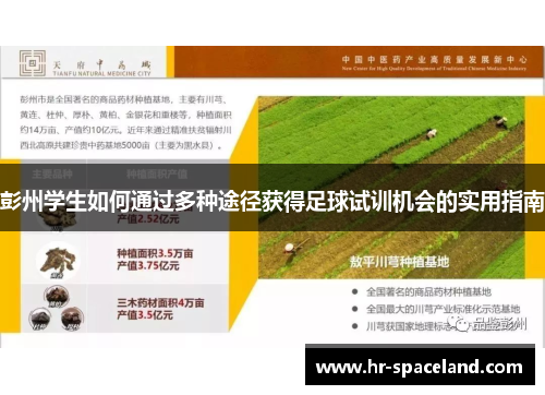 彭州学生如何通过多种途径获得足球试训机会的实用指南