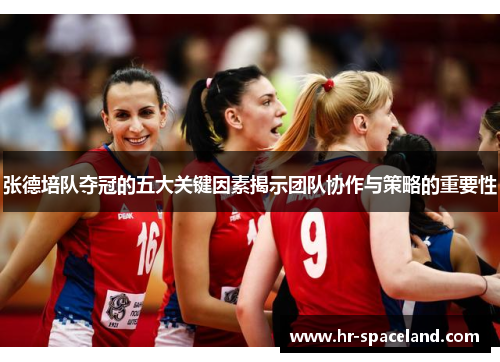 张德培队夺冠的五大关键因素揭示团队协作与策略的重要性